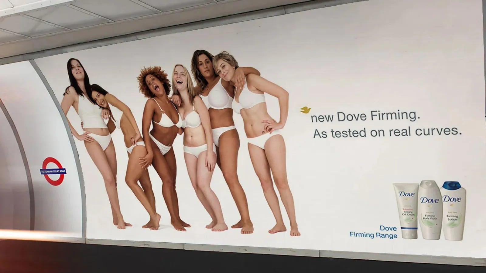 A Dove billboard showing women of different shapes and sizes.