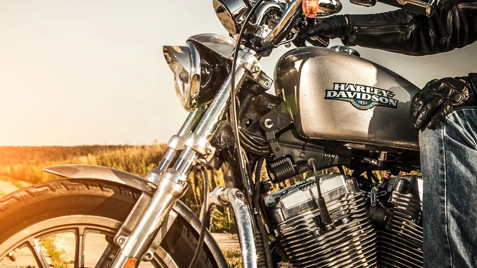 A Harley-Davidson motorcycle parked in a field at sunset.