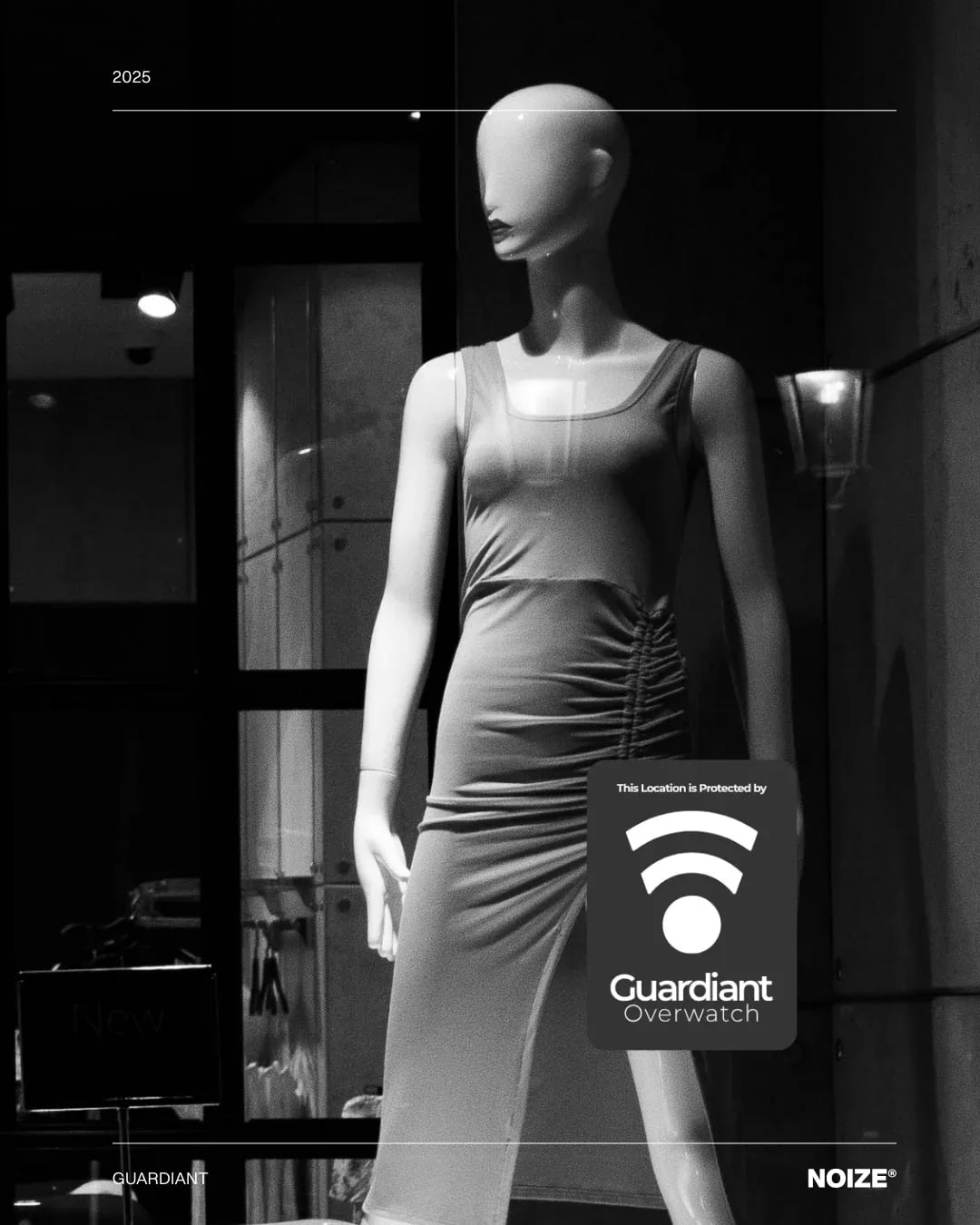 Guardiant brand identity by NOIZE
