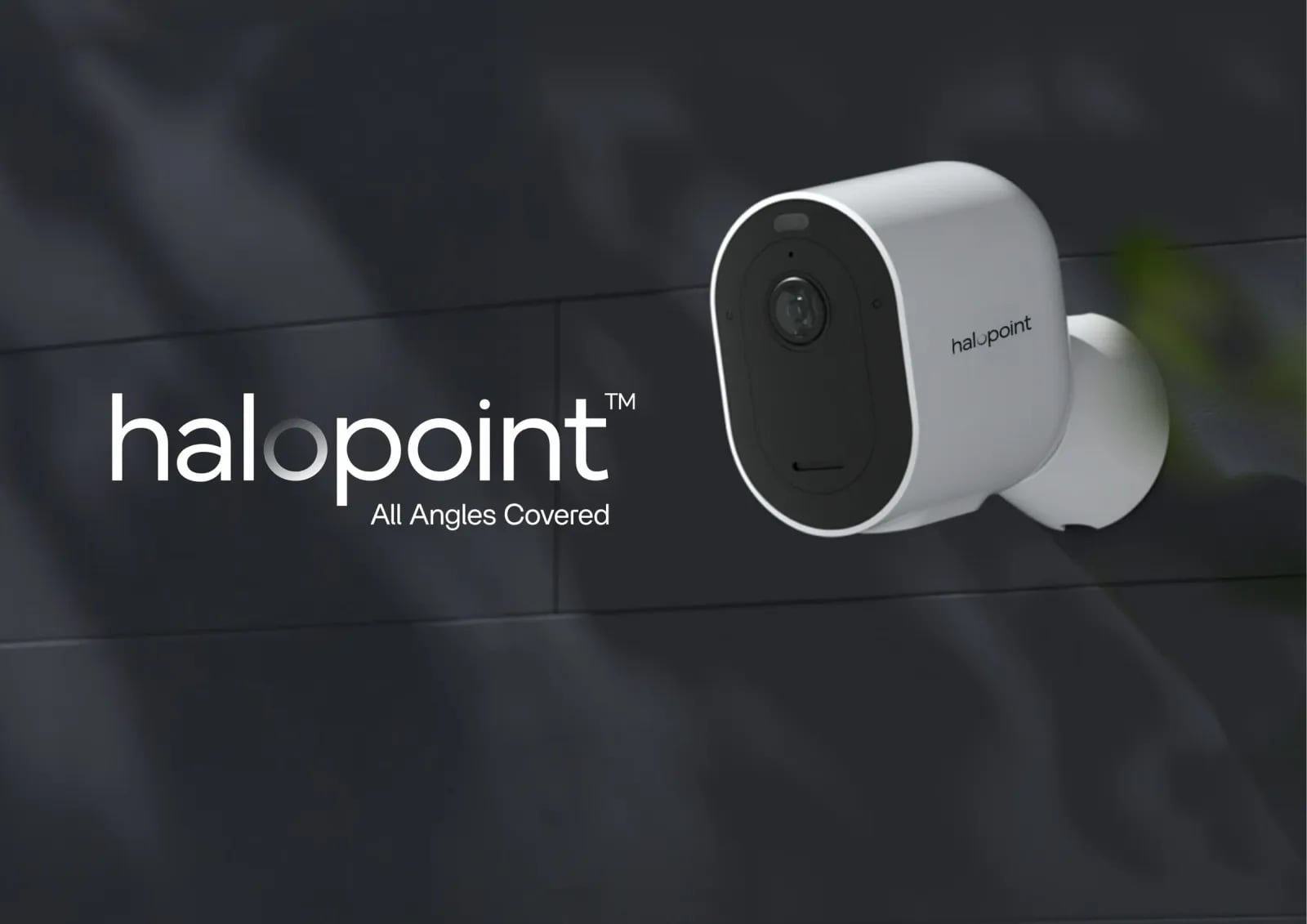 HaloPoint brand identity by NOIZE