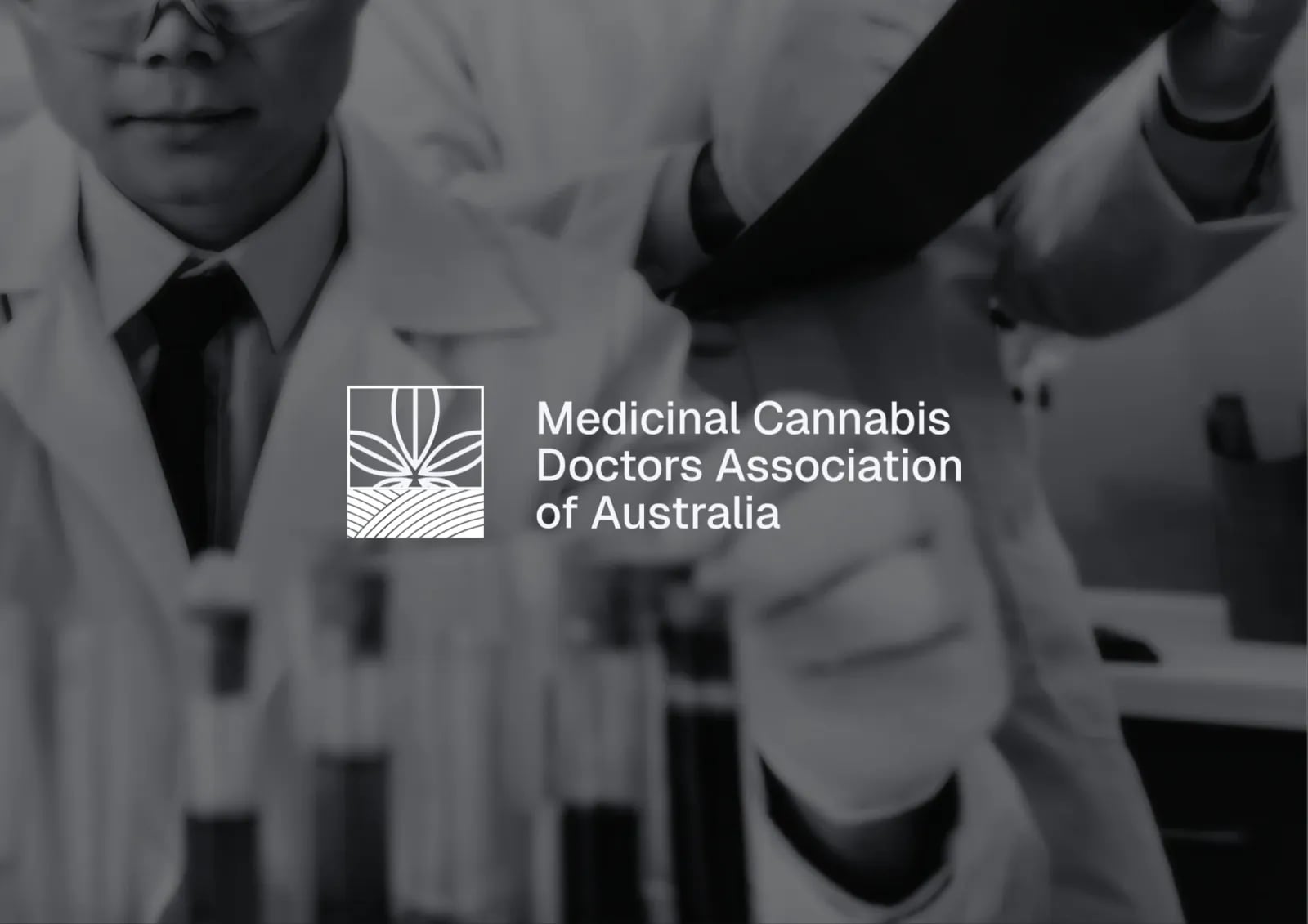 Medical Cannabis Doctors of Australia brand work by NOIZE