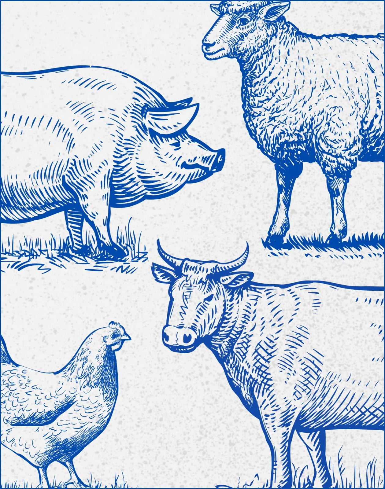 Mudgee Meat brand identity by NOIZE
