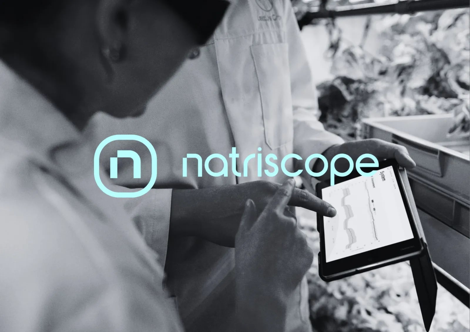 Natriscope brand identity by NOIZE