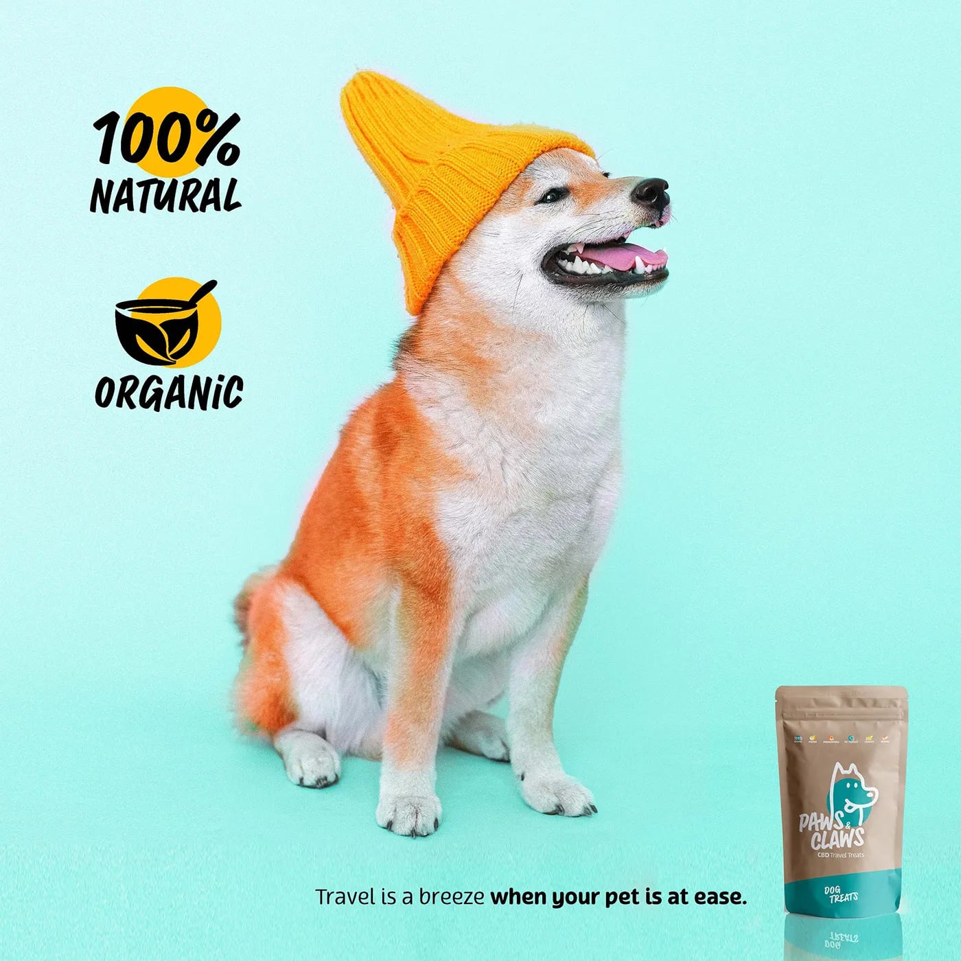 Paws and Claws brand identity by NOIZE