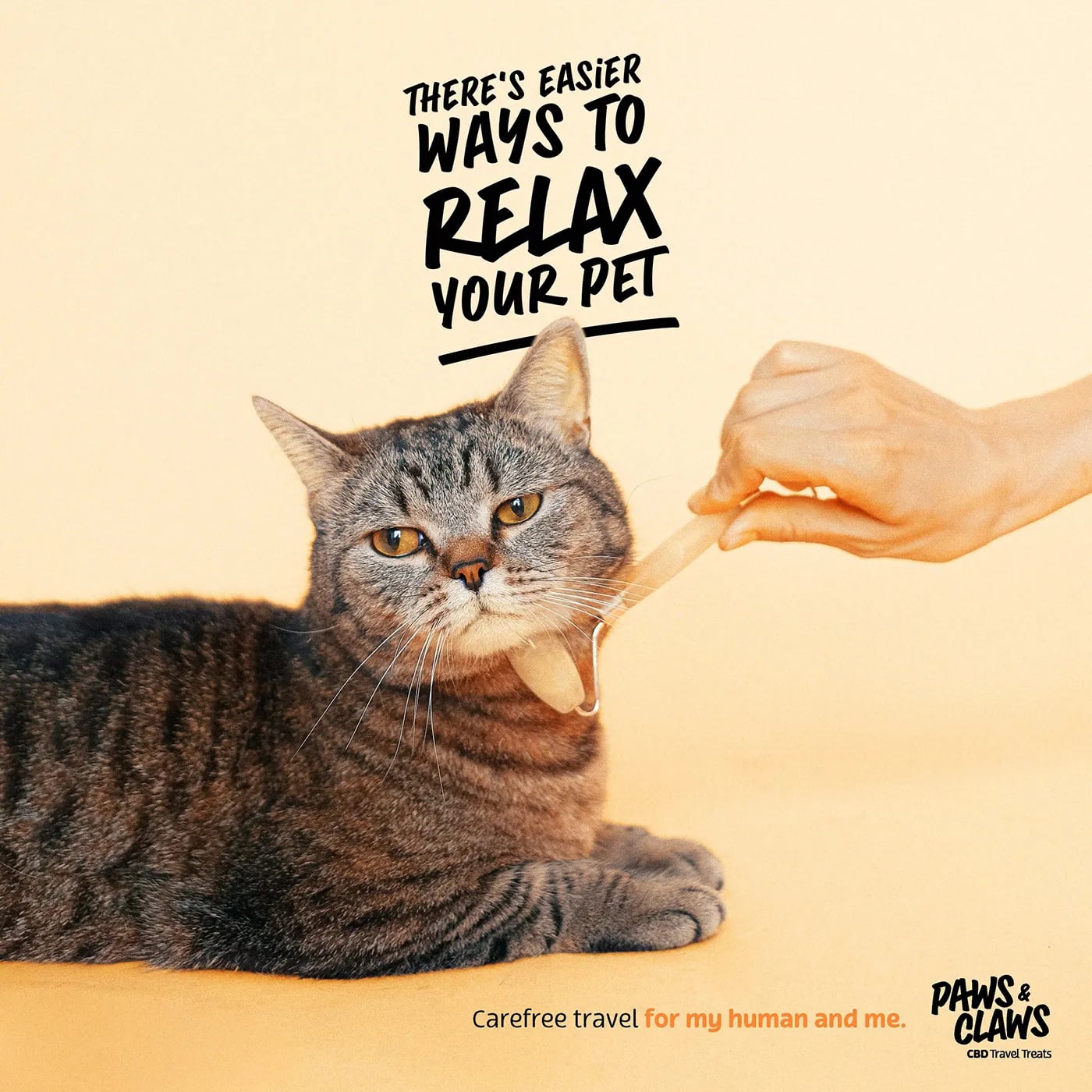 Paws and Claws brand identity by NOIZE
