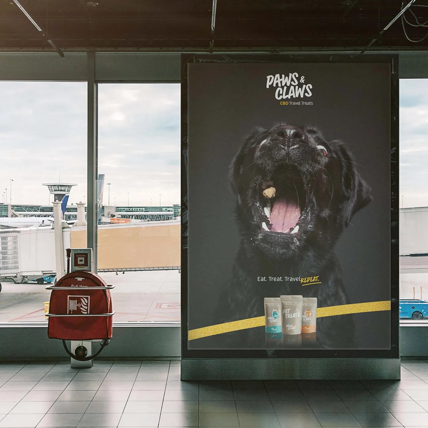 Paws and Claws brand identity by NOIZE