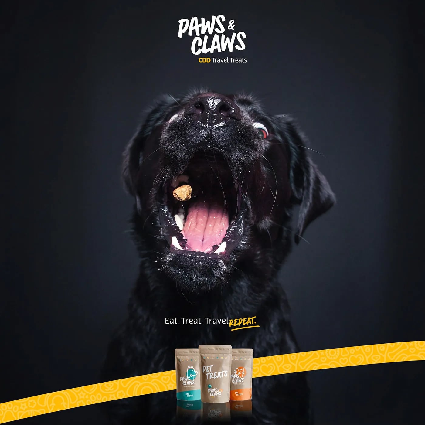 Paws and Claws brand identity by NOIZE