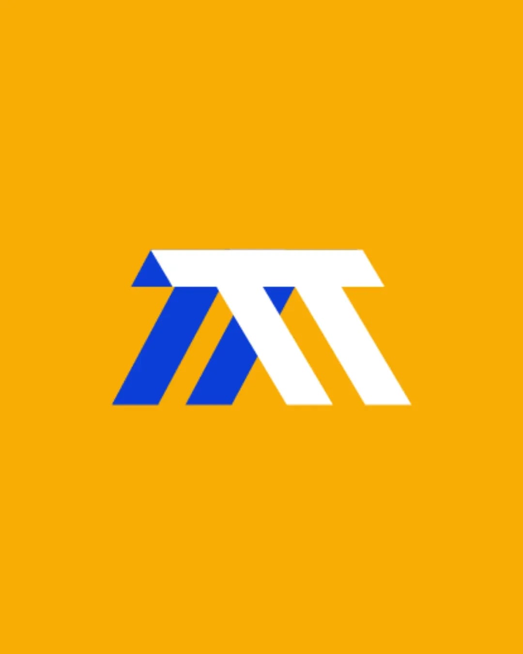 Total Tint brand identity by NOIZE